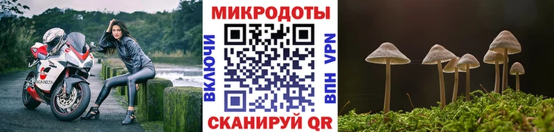 Псилоцибиновые грибы Cubensis  Шарья 