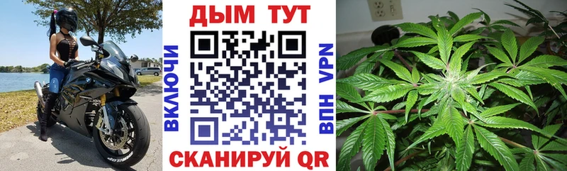 Канабис OG Kush  Шарья 